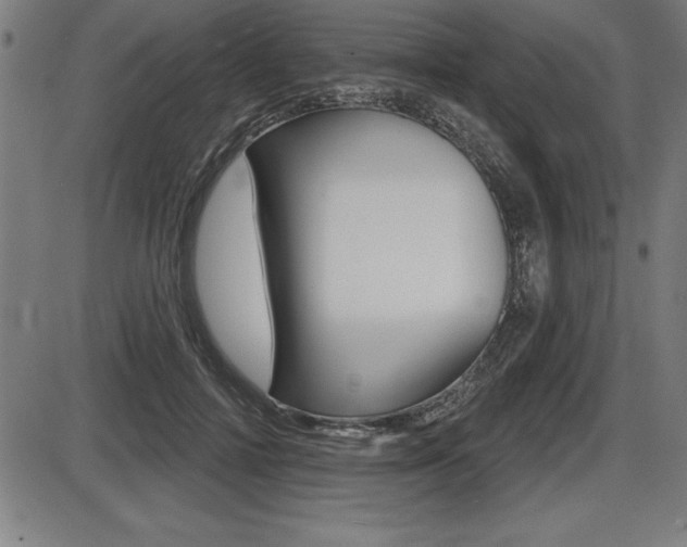 X0000087630698200705030727
