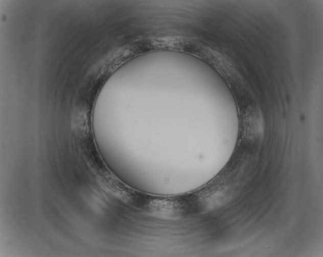 X0000087630699200705030727