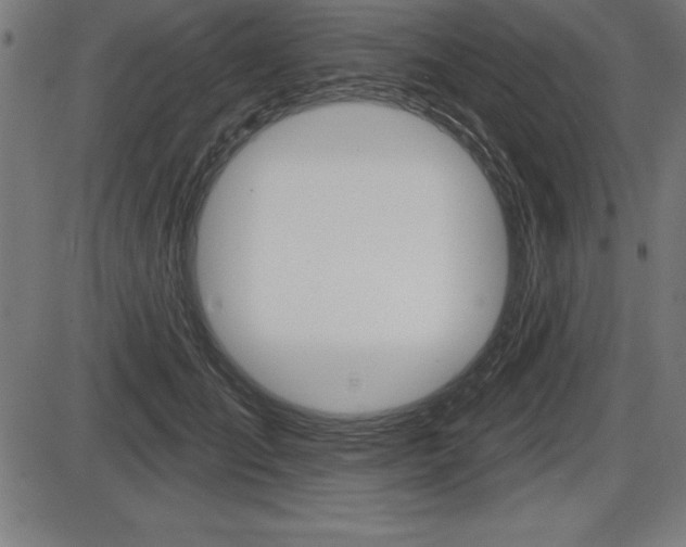 X0000087630701200705030727