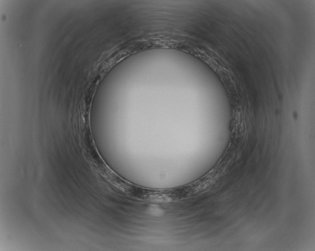 X0000087630702200705030727