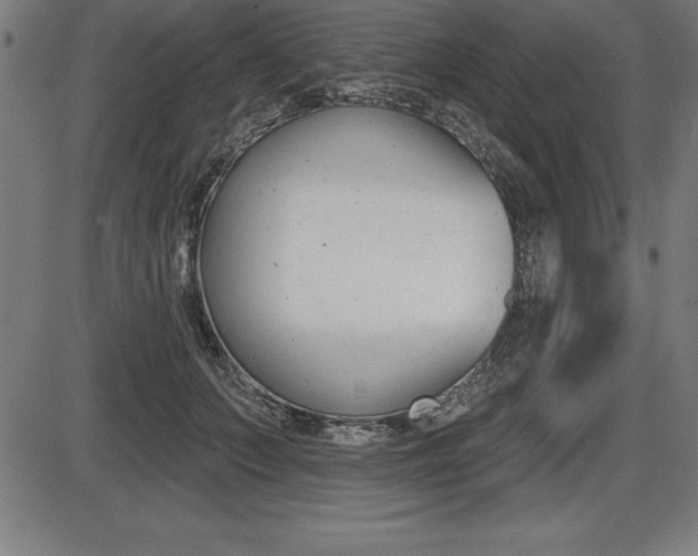 X0000087630703200705030727