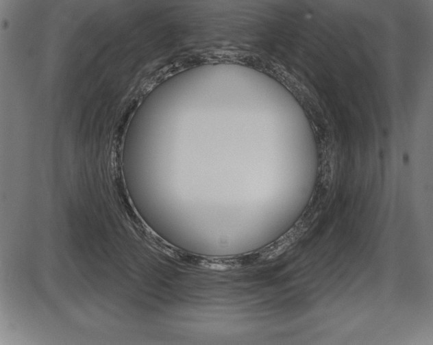 X0000087630706200705030727