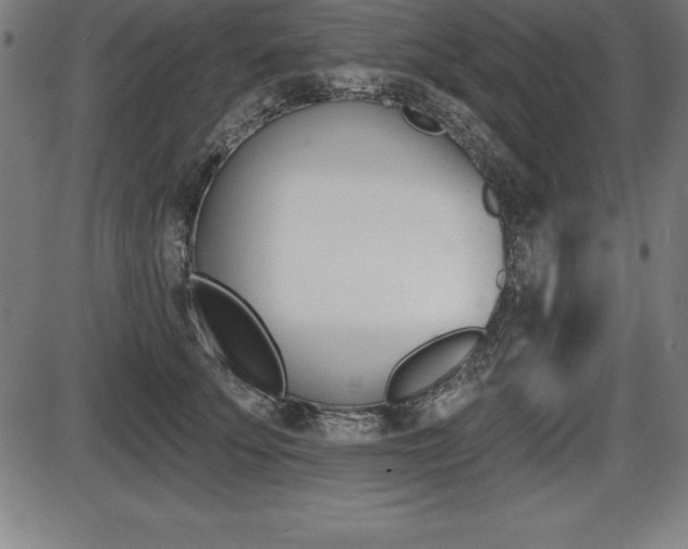 X0000087630707200705030727
