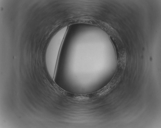 X0000087630708200705030727