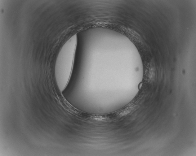X0000087630710200705030727