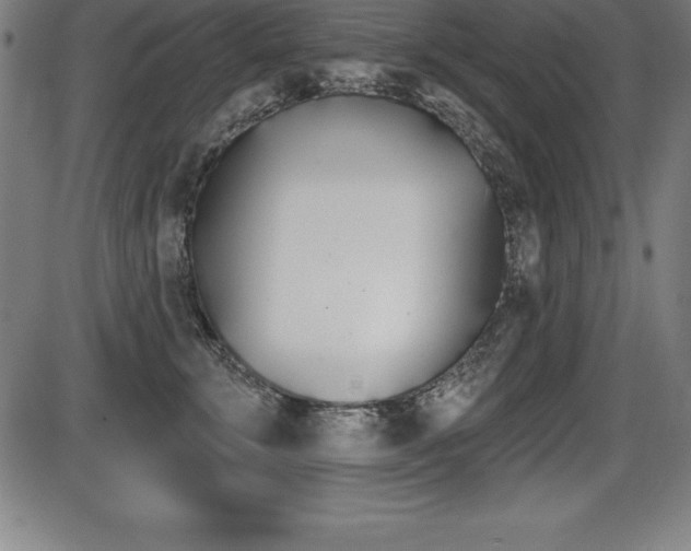 X0000087630711200705030727