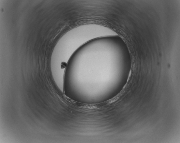 X0000087630712200705030727