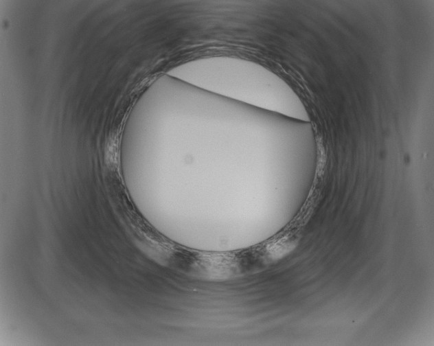 X0000087630713200705030727