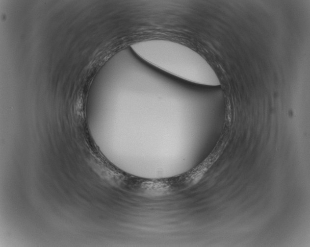 X0000087630714200705030727