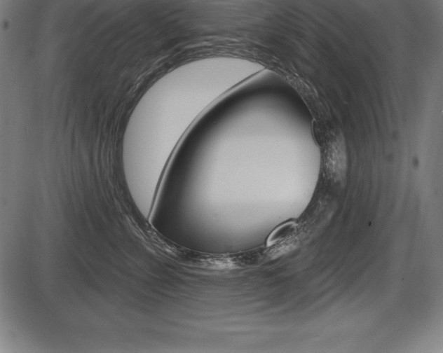 X0000087630715200705030727