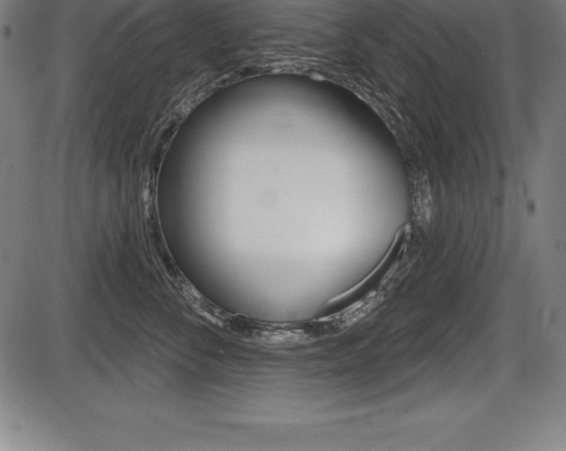 X0000087630716200705030727