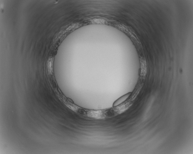 X0000087630717200705030727
