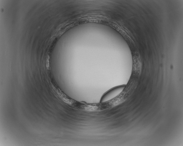 X0000087630718200705030727