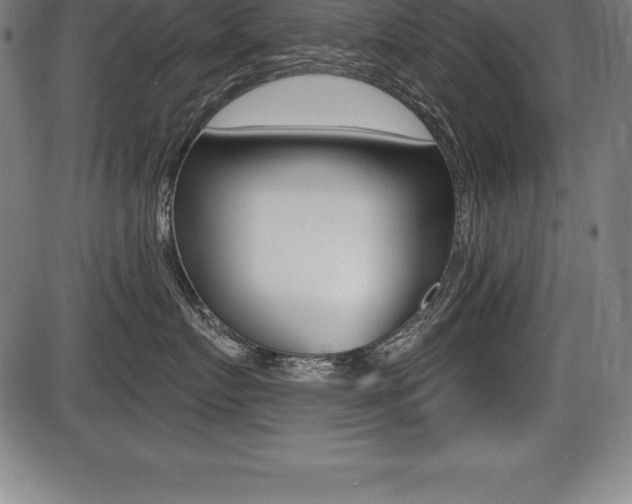 X0000087630719200705030727