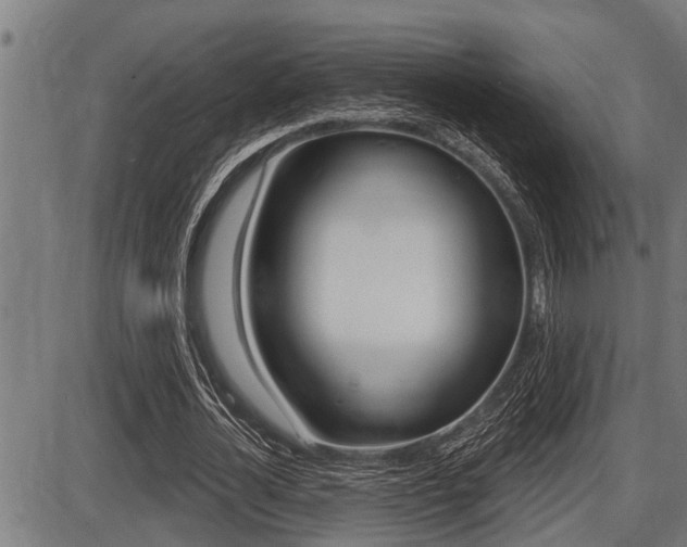 X0000087630724200705030726