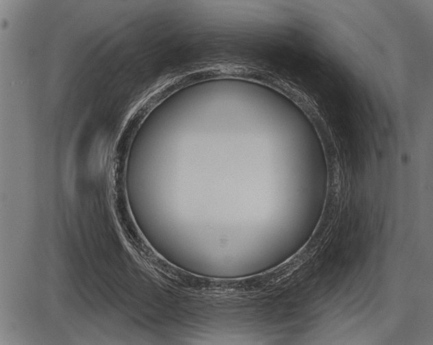 X0000087630730200705030726