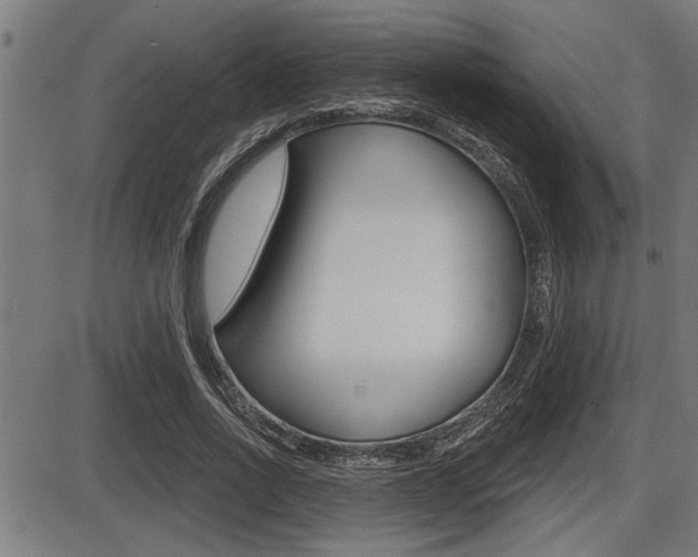 X0000087630734200705030726