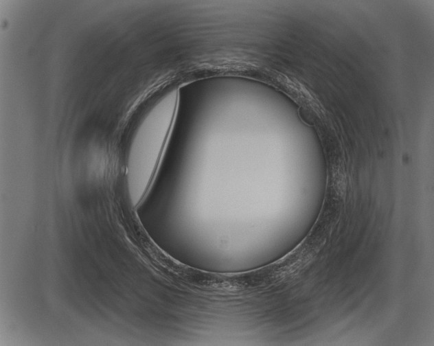 X0000087630735200705030727