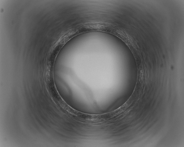 X0000087630739200705030727