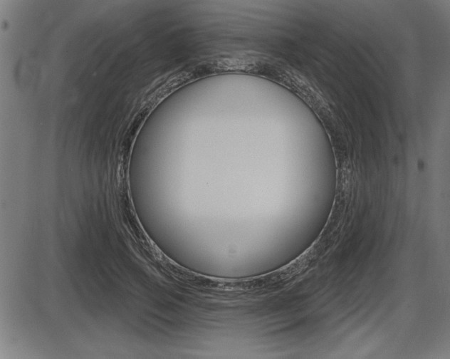 X0000087630741200705030727