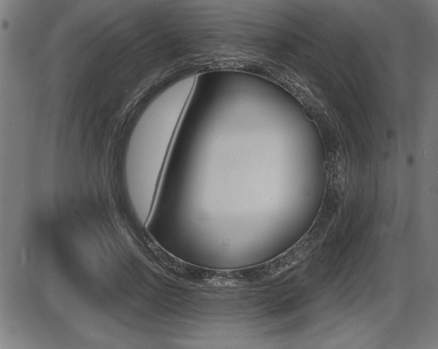 X0000087630742200705030727