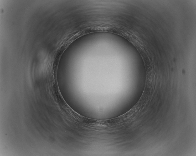 X0000087630743200705030727