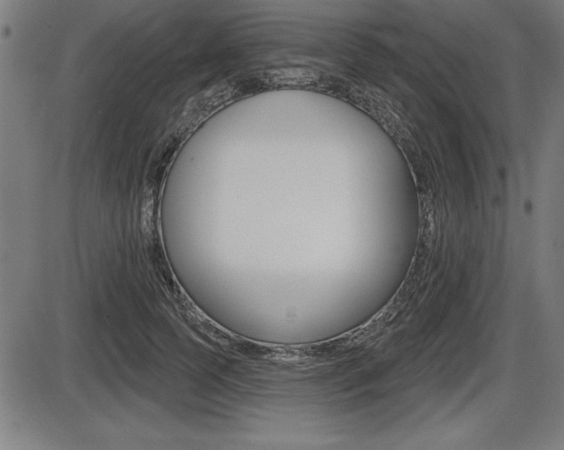 X0000087630745200705030727