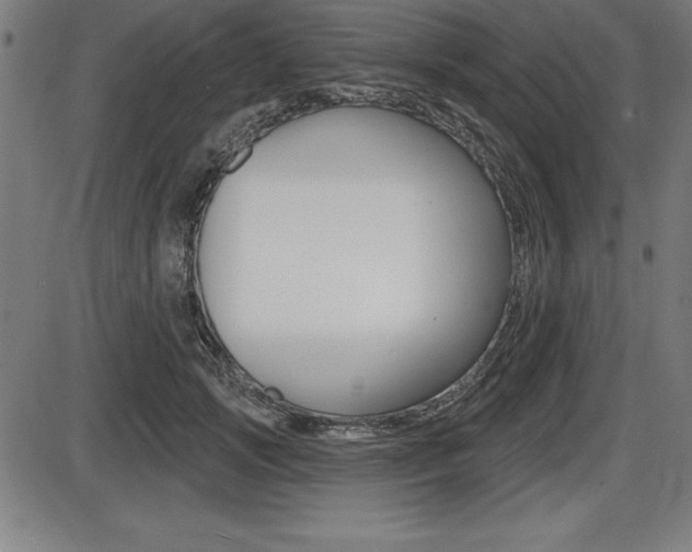 X0000087630749200705030727