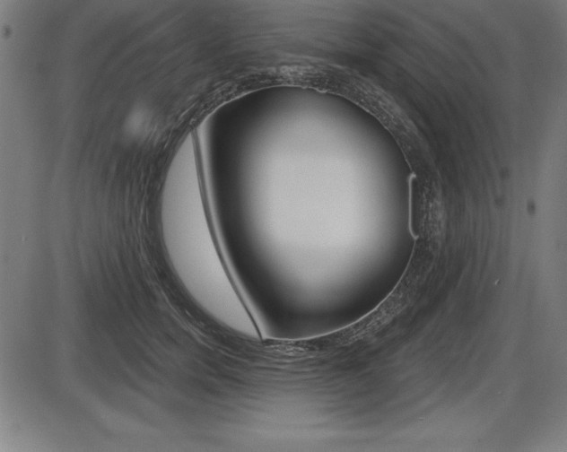 X0000087630750200705030727