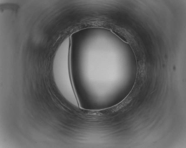 X0000087630752200705030727