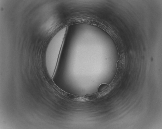 X0000087630754200705030727