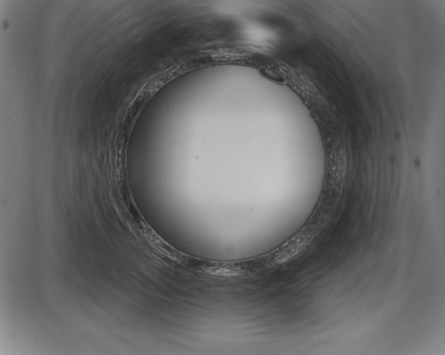 X0000087630755200705030727