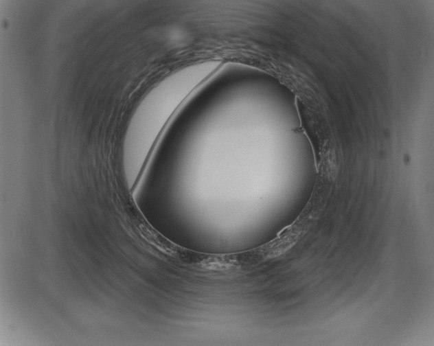 X0000087630756200705030727