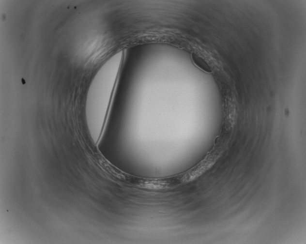 X0000087630758200705030727