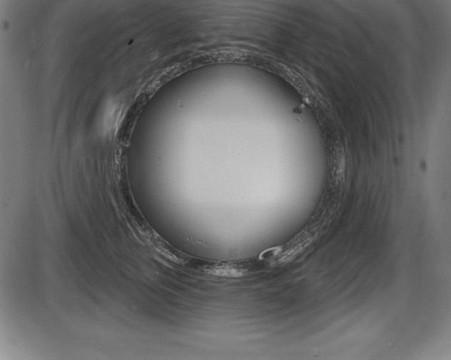 X0000087630759200705030727