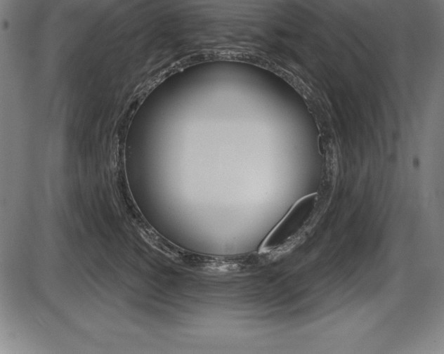 X0000087630760200705030727