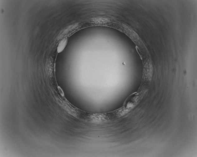 X0000087630762200705030727
