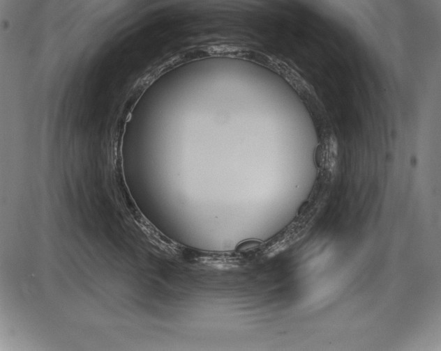 X0000087630763200705030727