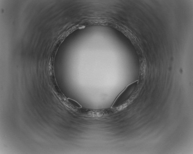 X0000087630764200705030727