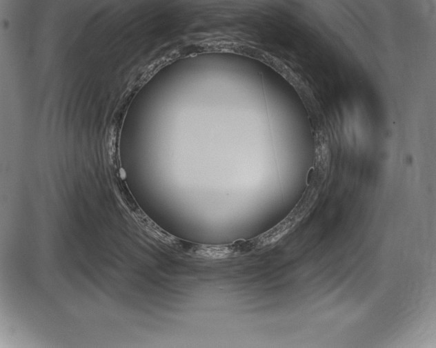 X0000087630767200705030727