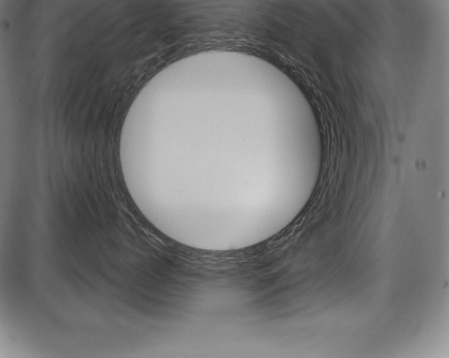 X0000087630768200705030727