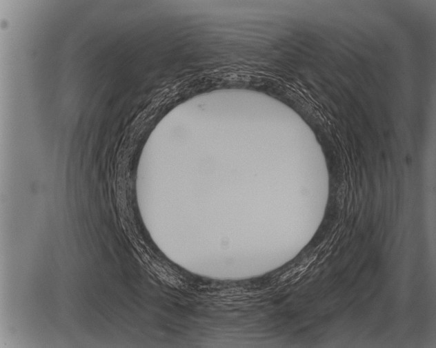 X0000087630769200705030726