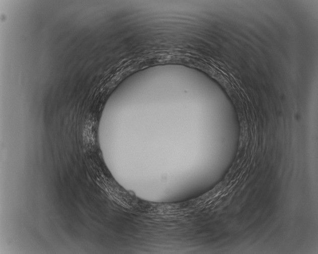 X0000087630770200705030726