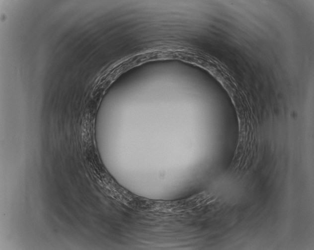 X0000087630773200705030726