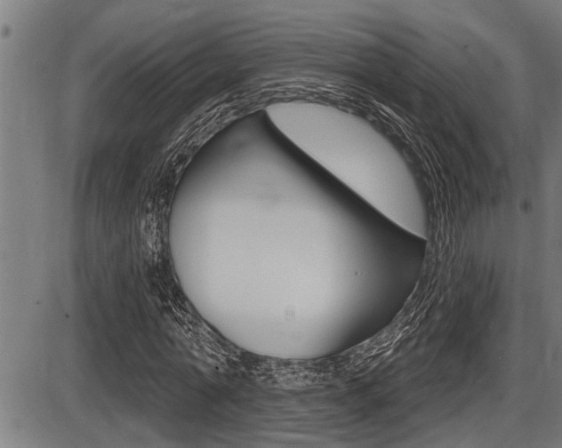 X0000087630774200705030726