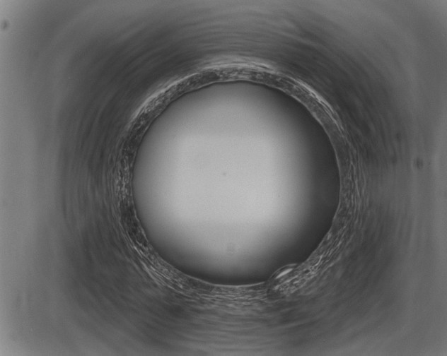 X0000087630775200705030726
