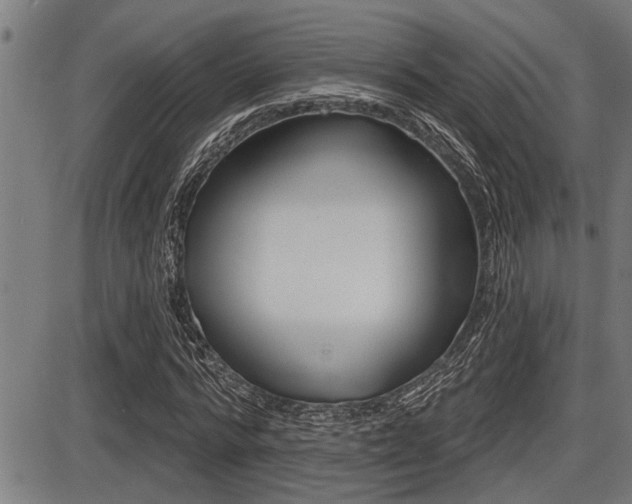 X0000087630776200705030726