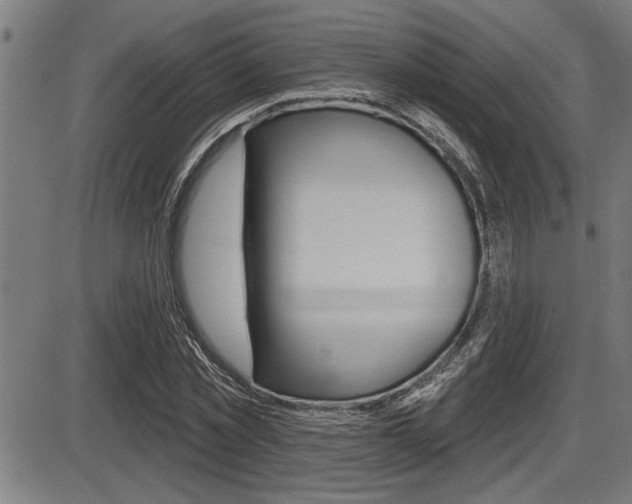 X0000087630781200705030726
