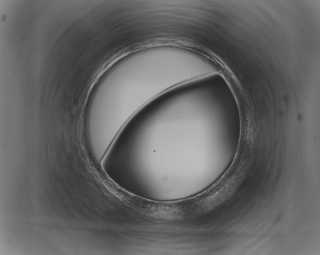 X0000087630786200705030726