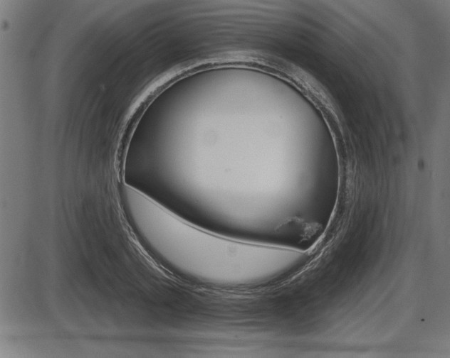 X0000087630789200705030726
